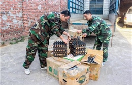 Quảng Ninh thu giữ 6.000 quả trứng gà lậu